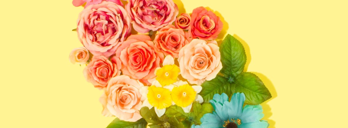 A variety of flowers arranged in rainbow colours from pink, red, yellow, green, blue to purple. The flowers are arranged in a diamond shape on a yellow background.
