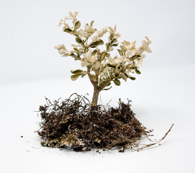 david-brooke-martin-1287627-unsplash