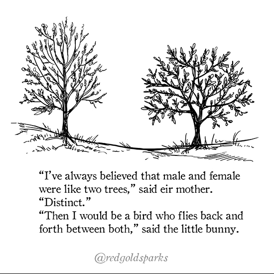 Black ink illustration of 2 trees. Text: "I've always believed that male and female were like two trees," said eir mother. "Distinct." "Then I would be a bird who flies back and forth between both," said the little bunny.