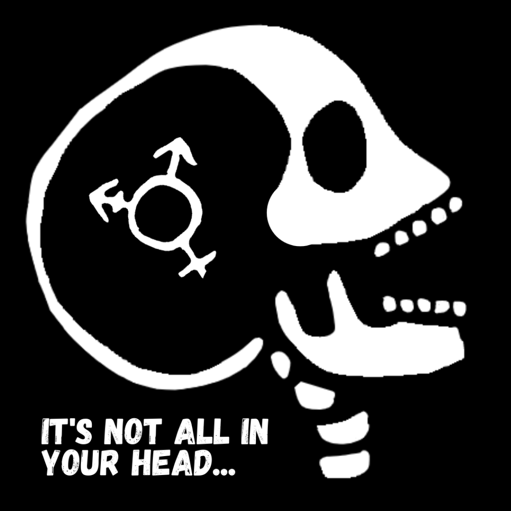 Digital art of a white skull with their mouth open and the transgender symbol positioned on and in their head. White text on the black background reads 'It's not all in your head ...'