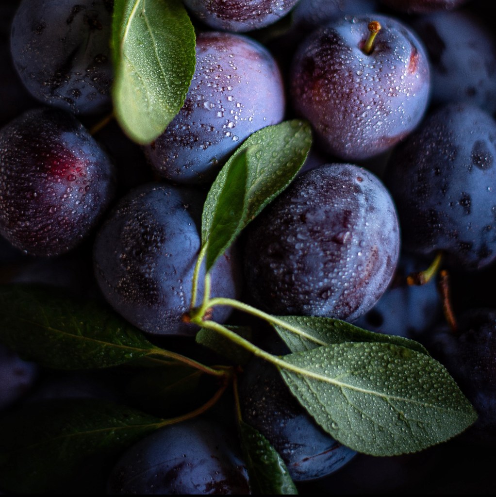 Close-up photo of purple plums and their green leaves