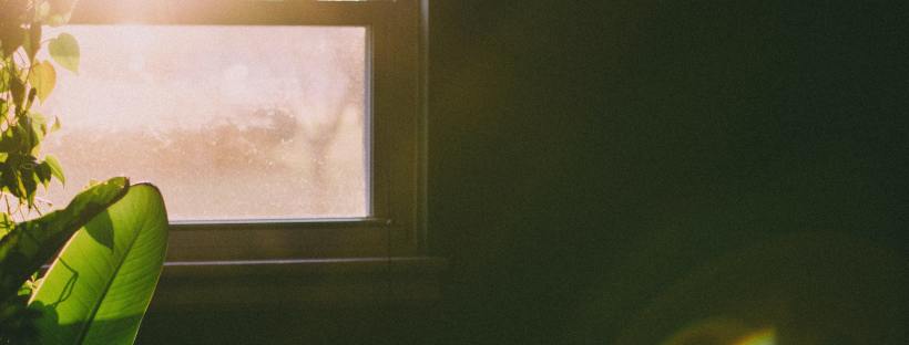 Photo of a window with sun shining through onto plants in an otherwise mostly darkened room.