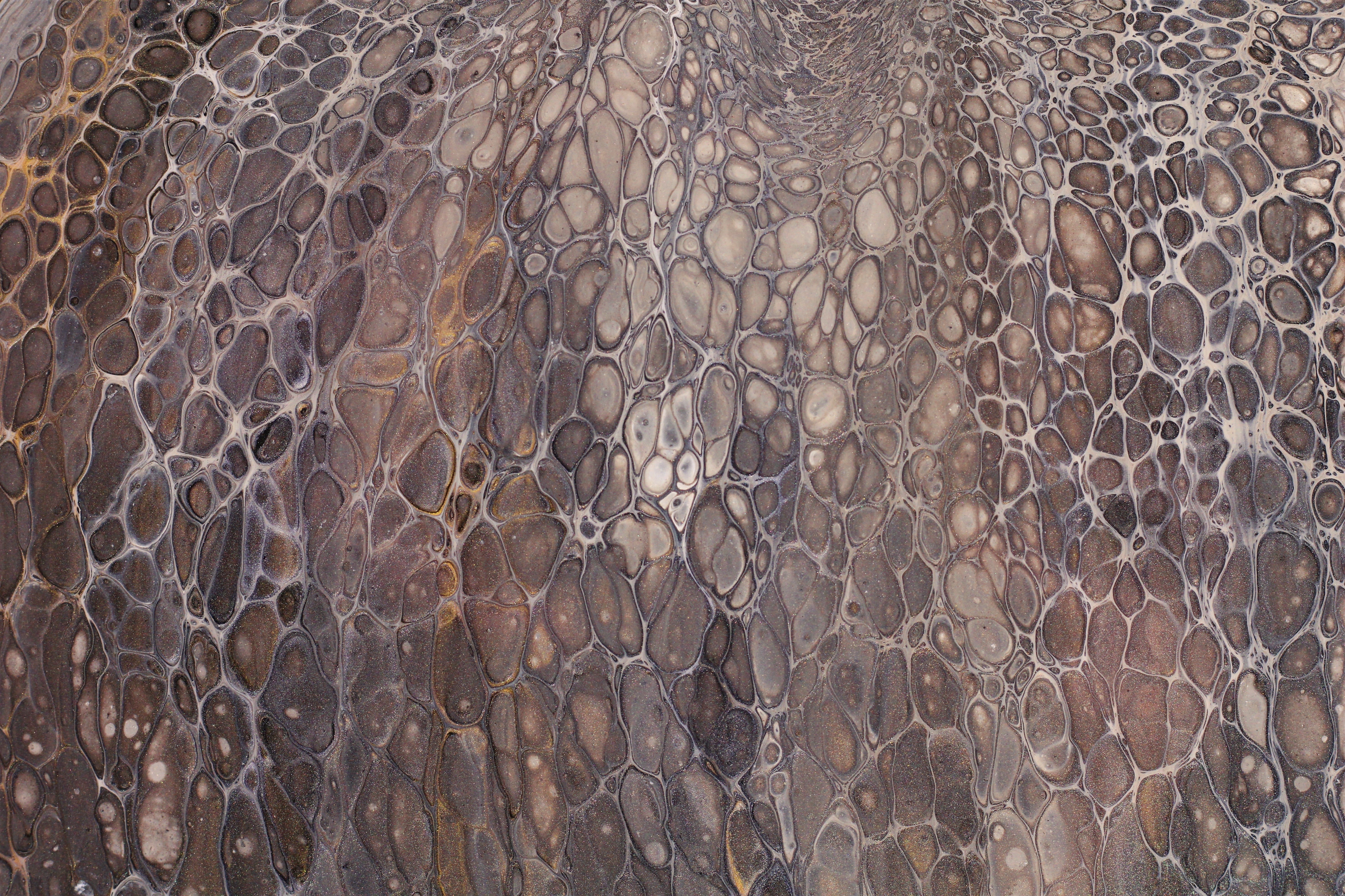 Up close photo of brown snakeskin