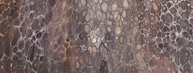 Up close photo of brown snakeskin