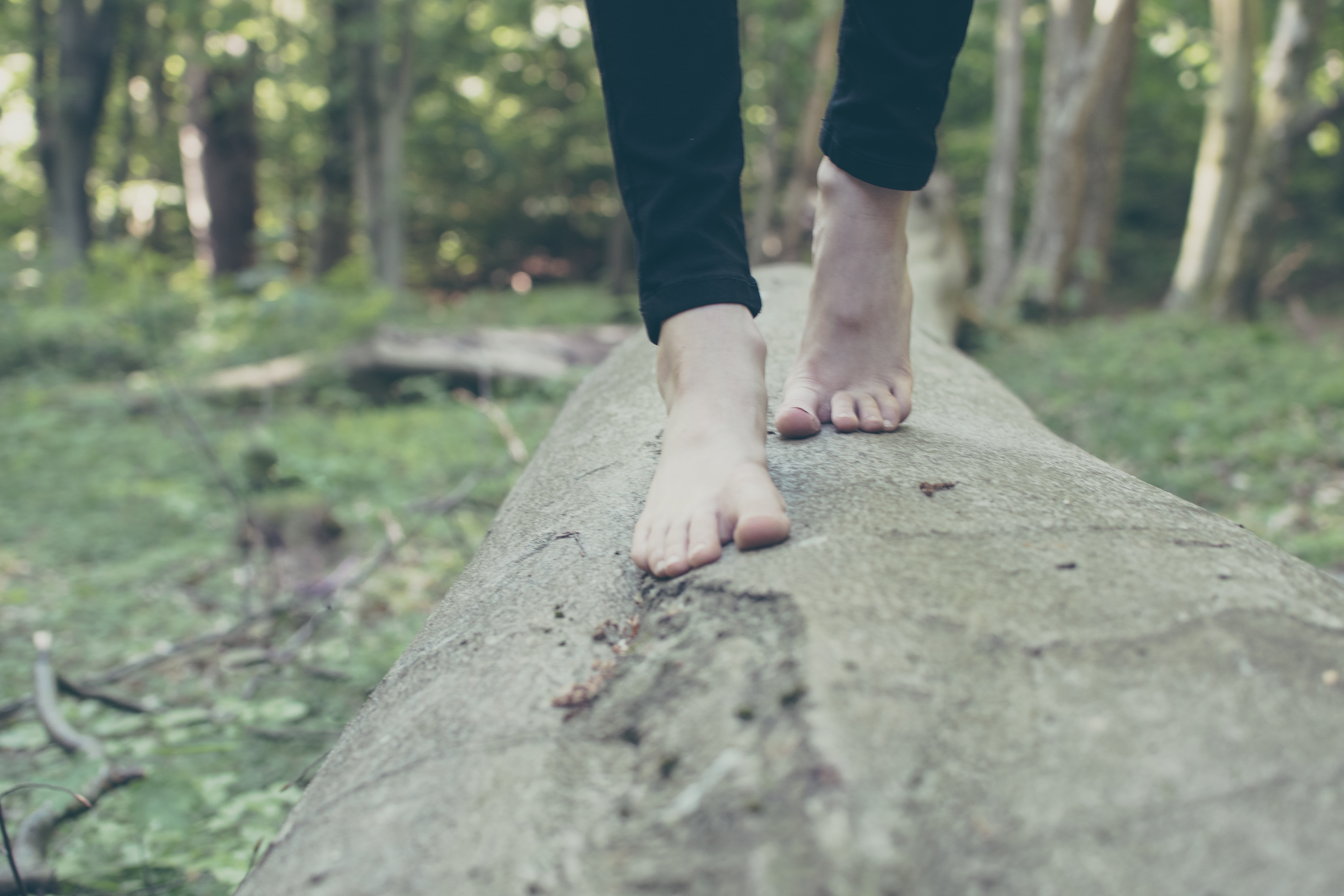 Photo of bare feet standing on a fallen tree log in the middle of a forest.