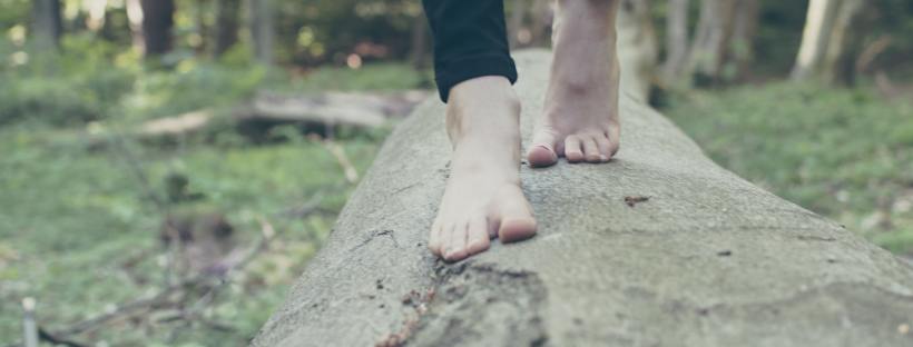 Photo of bare feet standing on a fallen tree log in the middle of a forest.