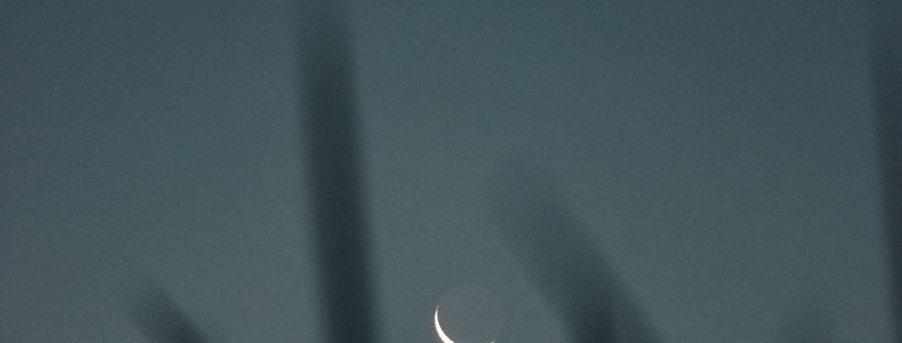 Photo of a crescent moon with blurred grass in the foreground.