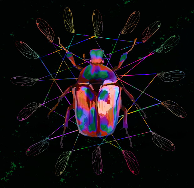 An art piece of a vibrant, abstract digital illustration of a beetle on a dark background. The beetle has bold, iridescent colours like magenta, teal, orange, and purple. Surrounding the beetle is a geometric pattern of interconnected lines forming a star-like shape. At each point of the star is a transparent insect wings, drawn with neon outlines. 
