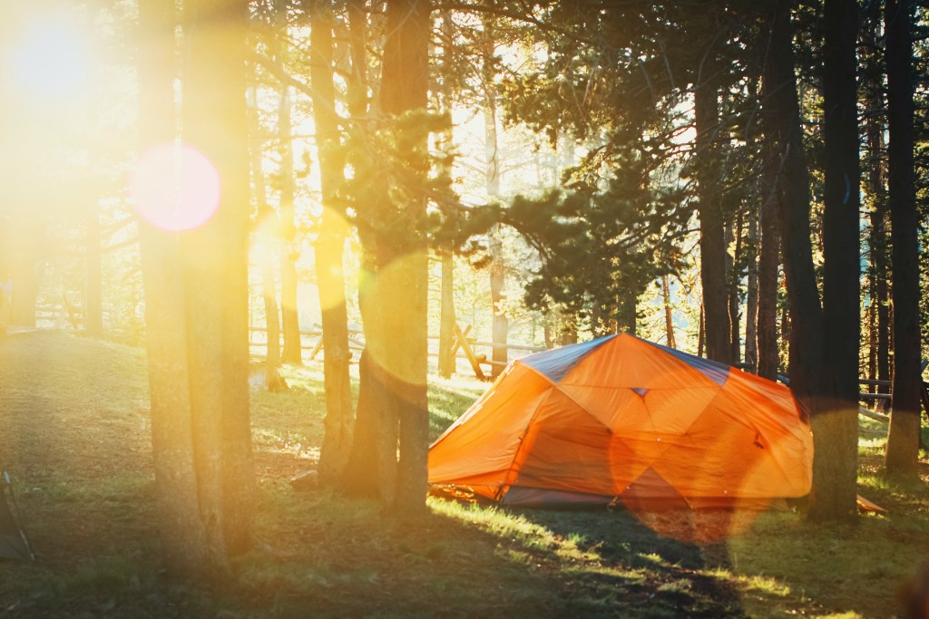 Photo of a blue and orange tent sitting on grass among lots of tall trees, with a lens flare creating yellow spots on a diagonal.