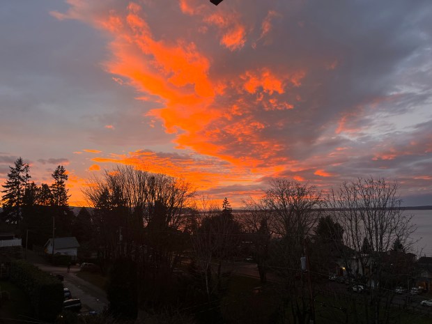 Photo of an orange sunset with sparse trees and houses in the foreground.
