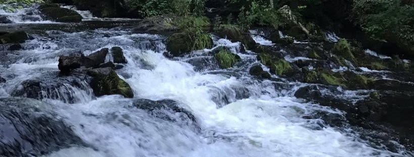 Photo of foaming water tumbling over rocks at Zabriskie's Waterfall, with trees in the background.