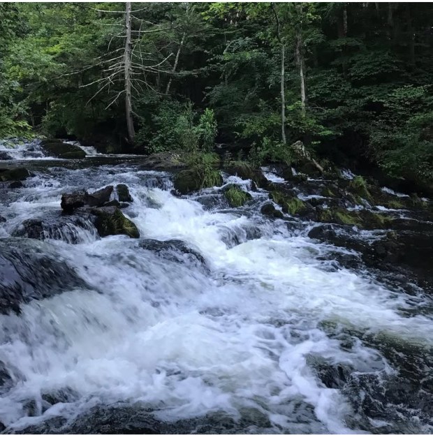 Photo of foaming water tumbling over rocks at Zabriskie's Waterfall, with trees in the background.