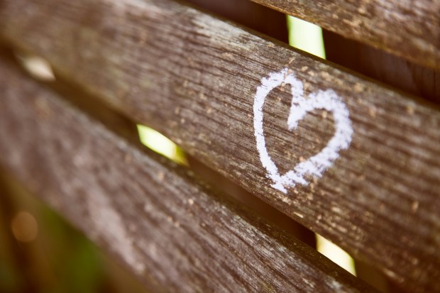 Photo of a painted white heart on the back of a wooden park bench.