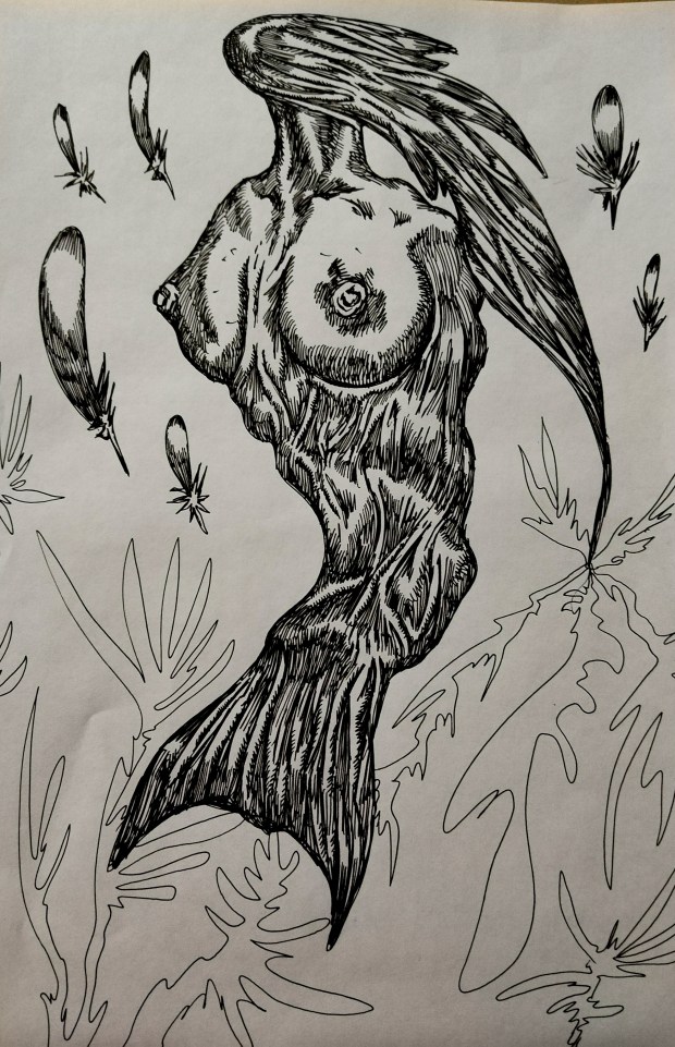 Detailed black sketch of a body with a flowing tail as a head, two breasts, a sinewy body and a fish tail, surrounded by feathers.